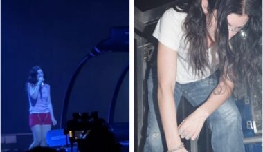 'Hope she gets the help she needs': Fears for major pop star after she strips down to underwear and gaffer tape in front of 16,500 fans