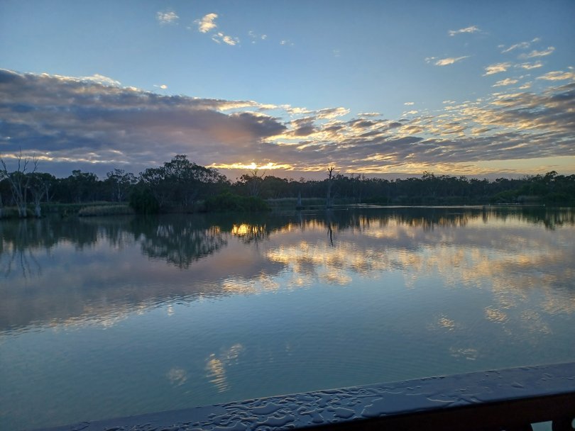 Murray River dawn scene from aboard the PS Murray Princess.