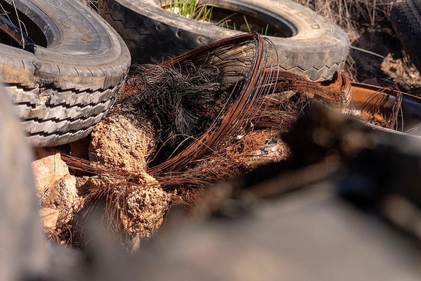 A pile of dumped tyres.