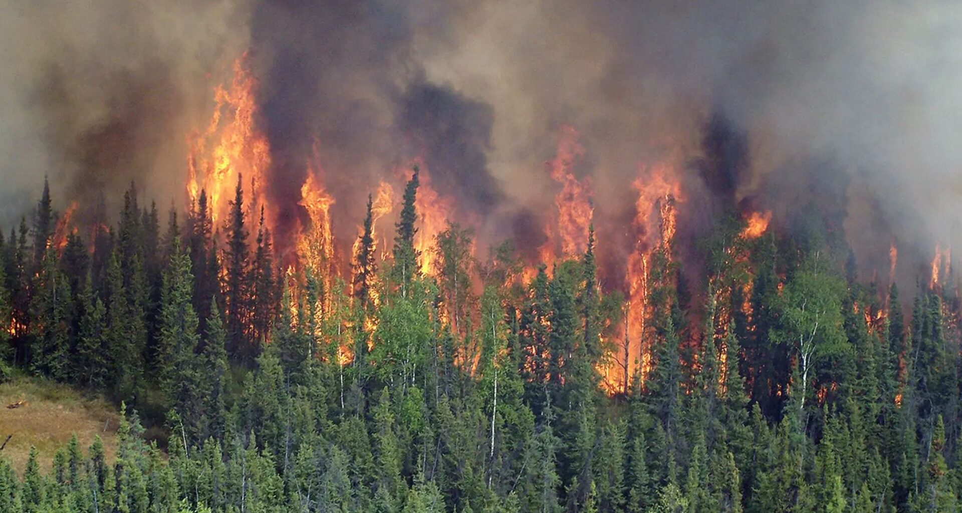 Alaska reports more wildfires than any time in the past 3,000 years