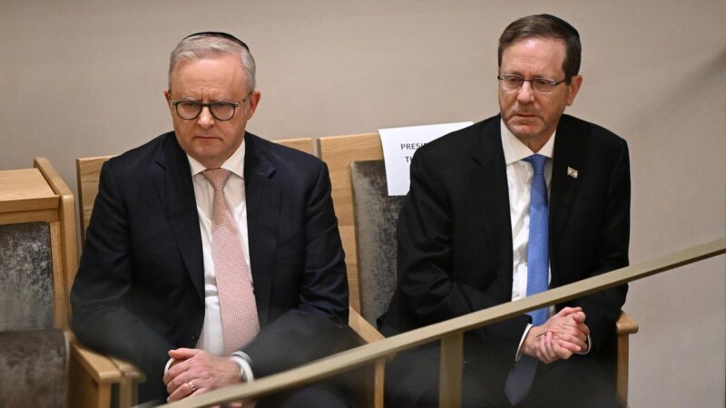 Anthony Albanese, Isaac Herzog. Image: AAP
