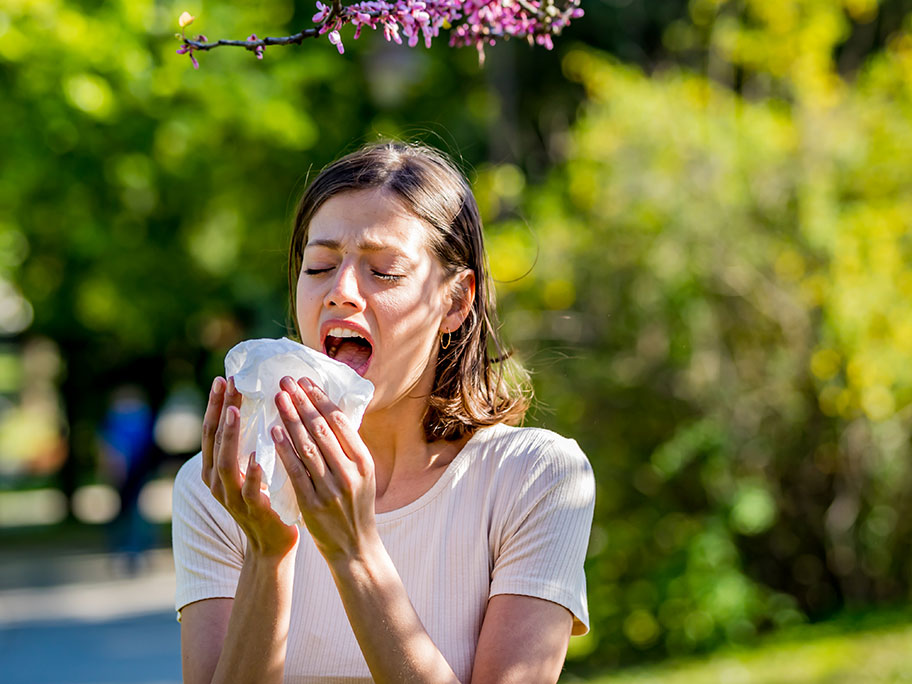 Immunotherapy for allergic rhinitis | AusDoc