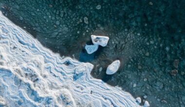 Arctic Ice New Forecasting System (illustrative Image)