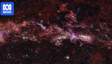 New image taken by ALMA telescope reveals 'extraordinary' detail of Milky Way's central zone