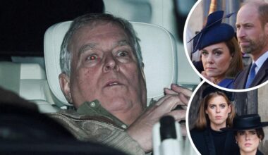 Andrew Mountbatten-Windsor arrest rocks royal family as King Charles, Prince William, Princess Beatrice react