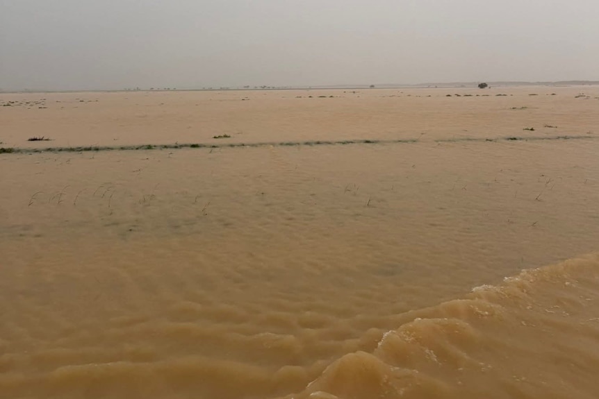 A broad expanse of dirty brown floodwater over fields.