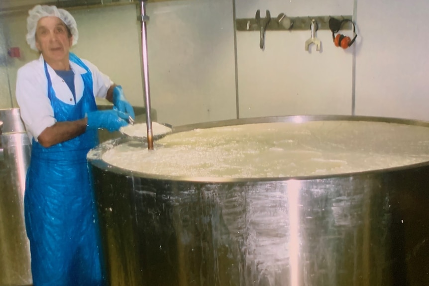 John stirring cheese curds in large vat
