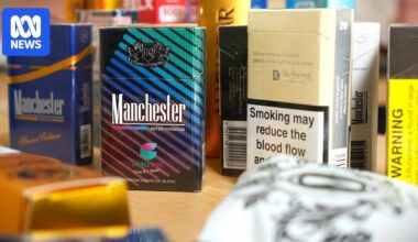 New tobacco laws proposed by WA government to target stores selling illegal cigarettes, vapes