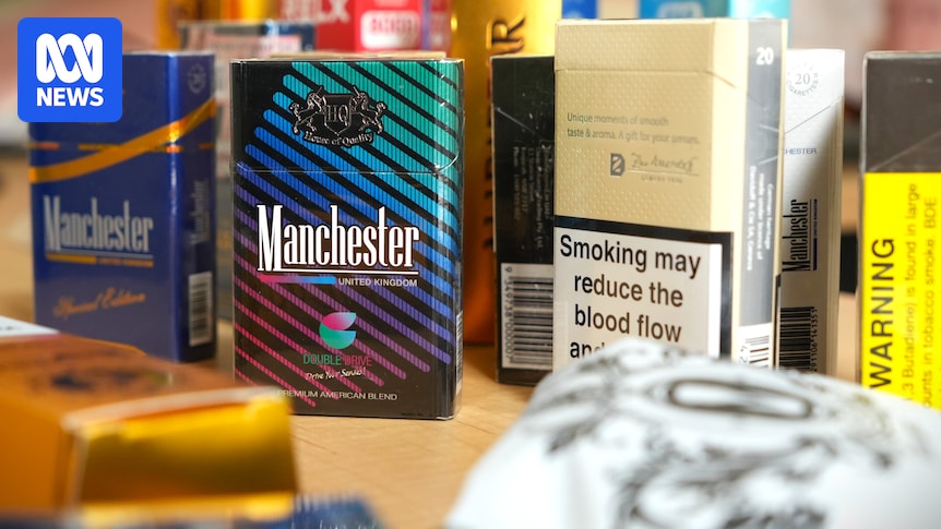 New tobacco laws proposed by WA government to target stores selling illegal cigarettes, vapes
