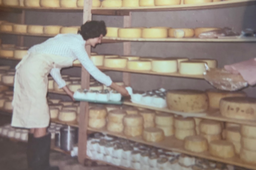 Jacqueline attending to cheese wheels