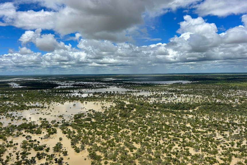 A flood on an outback plain, as seen from above.