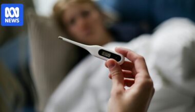 Most flu deaths this century were recorded in 2025, ABS finds