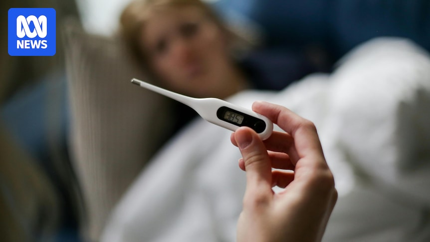 Most flu deaths this century were recorded in 2025, ABS finds