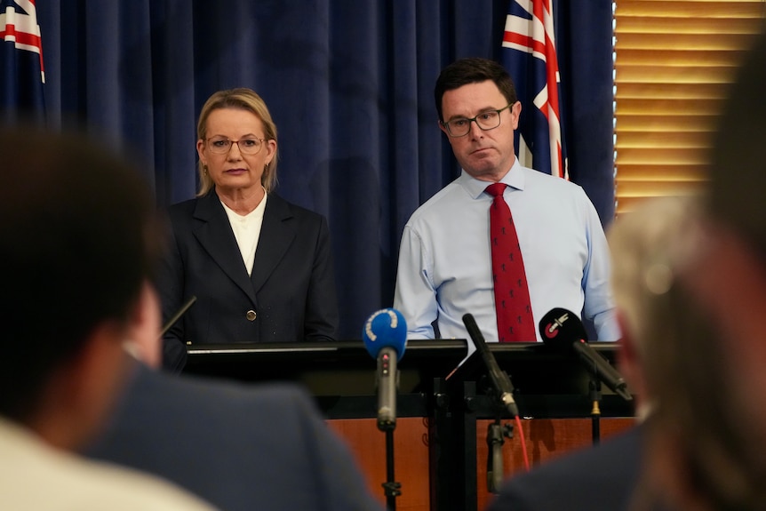Liberal leader Sussan Ley and Nationals leader David Littleproud.