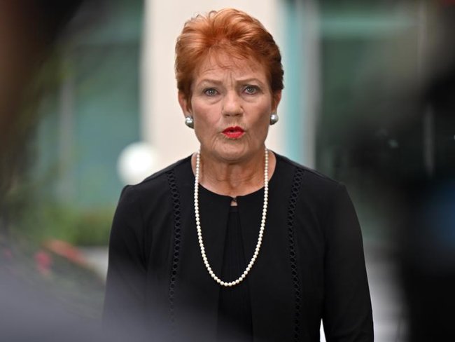Hanson says she expects One Nation to form government in the future. (Mick Tsikas/AAP PHOTOS)