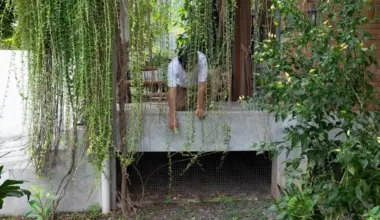 Subscribe Placeholder