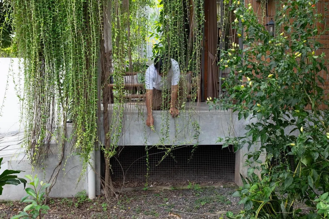 Subscribe Placeholder