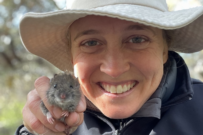 Portrait of a woman in a floppy brimmed white hat and navy jacket holding a grey-brown rat.