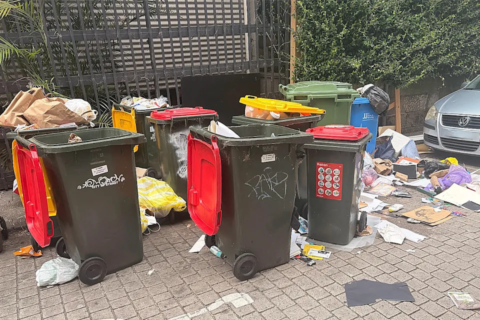 Messy bins in Darlinghurst. 