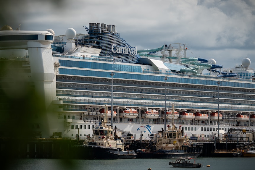 A large cruise ship docked in a harbour.