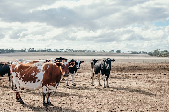 Just how much Australian beef can go into European markets has been a sticking point in the trade talks.