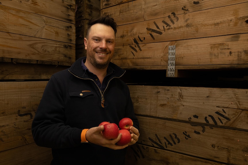 A smiling man holds red apples. Behind him are wooden crates with McNabb printed on them.