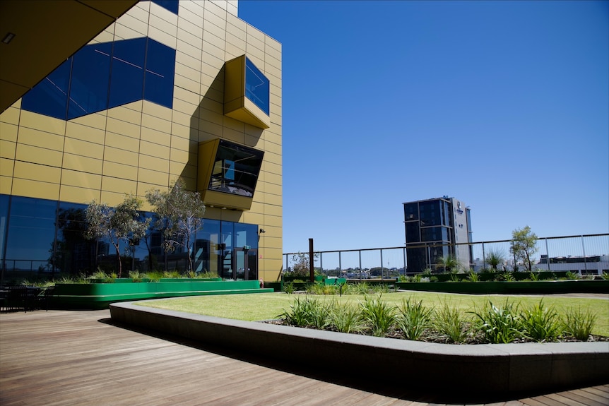 A multi-storey mustard coloured building with decking and grass surrounding it