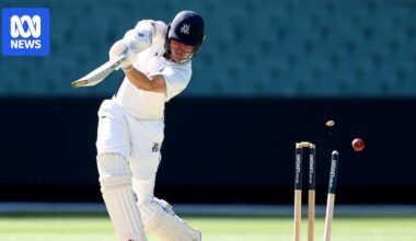 Victoria and Queensland lose 17 wickets on day one of MCG Sheffield Shield game