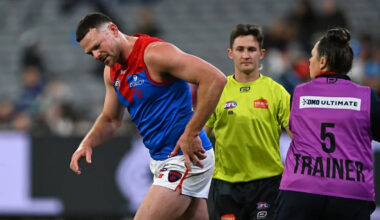 Demons defender May misses AFL pre-season training