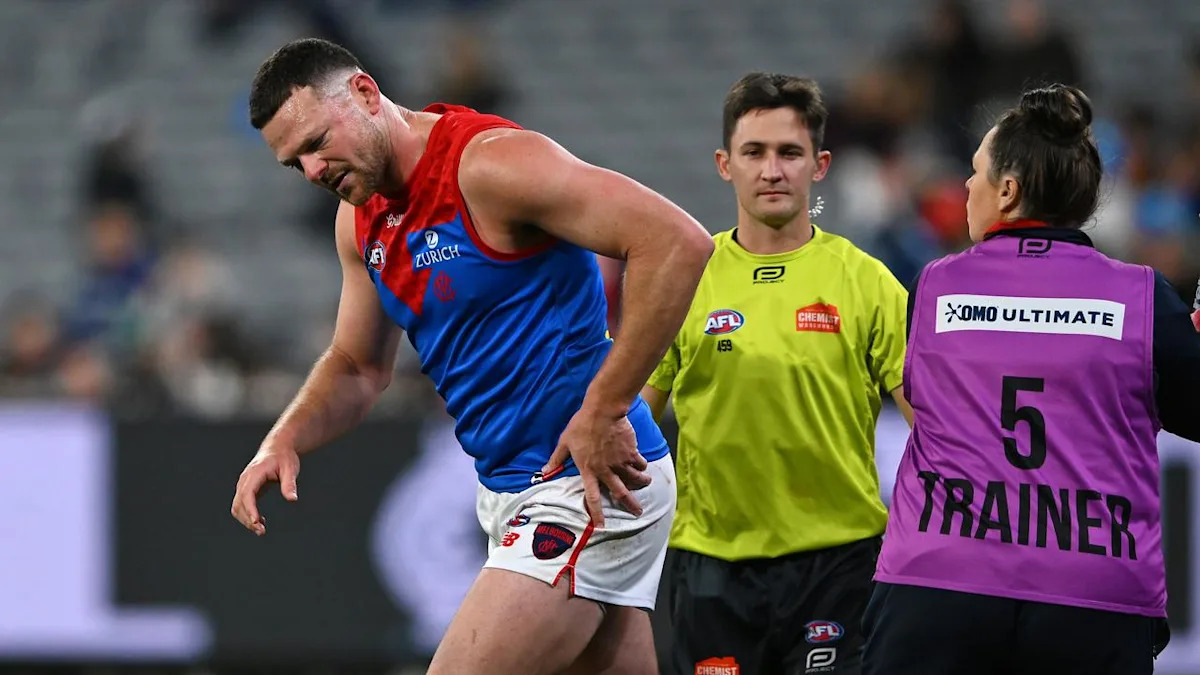Demons defender May misses AFL pre-season training