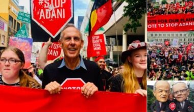 “I’m it!” Bob Brown puts hand up to lead new national environmental watchdog