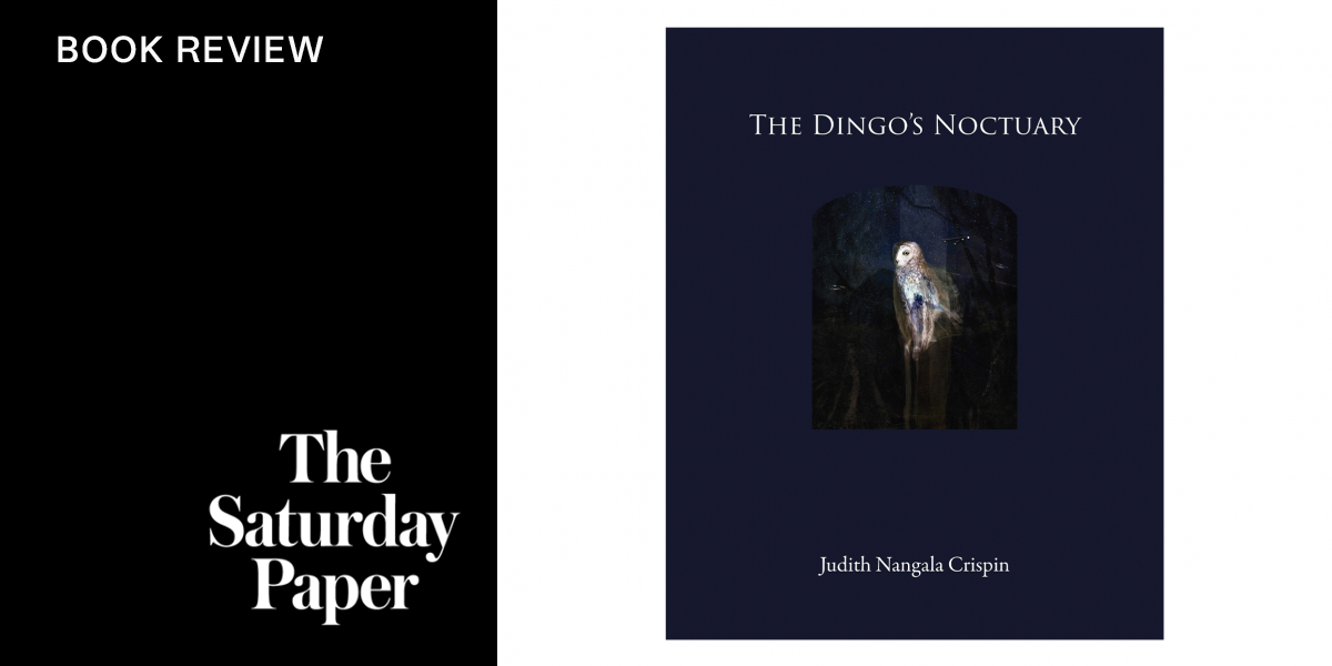 The Dingo’s Noctuary | The Saturday Paper
