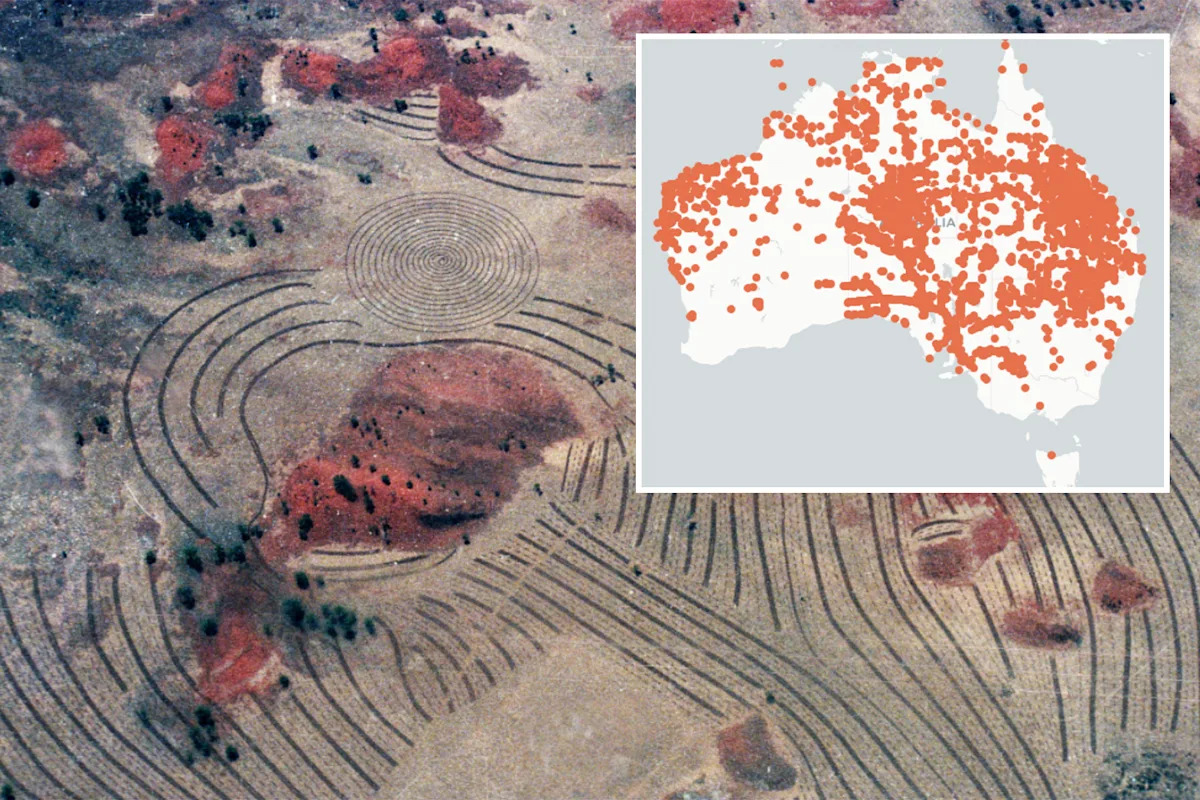 Outrage over plan that could turbocharge one of Australia's biggest invasive threats: 'Absurd'