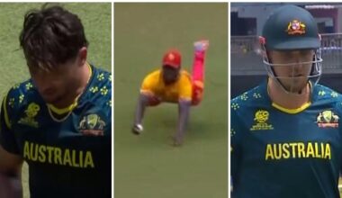 Australia vs Zimbabwe match wrap, loss to Zimbabwe, Marcus Stoinis injury, team selections, news, videos