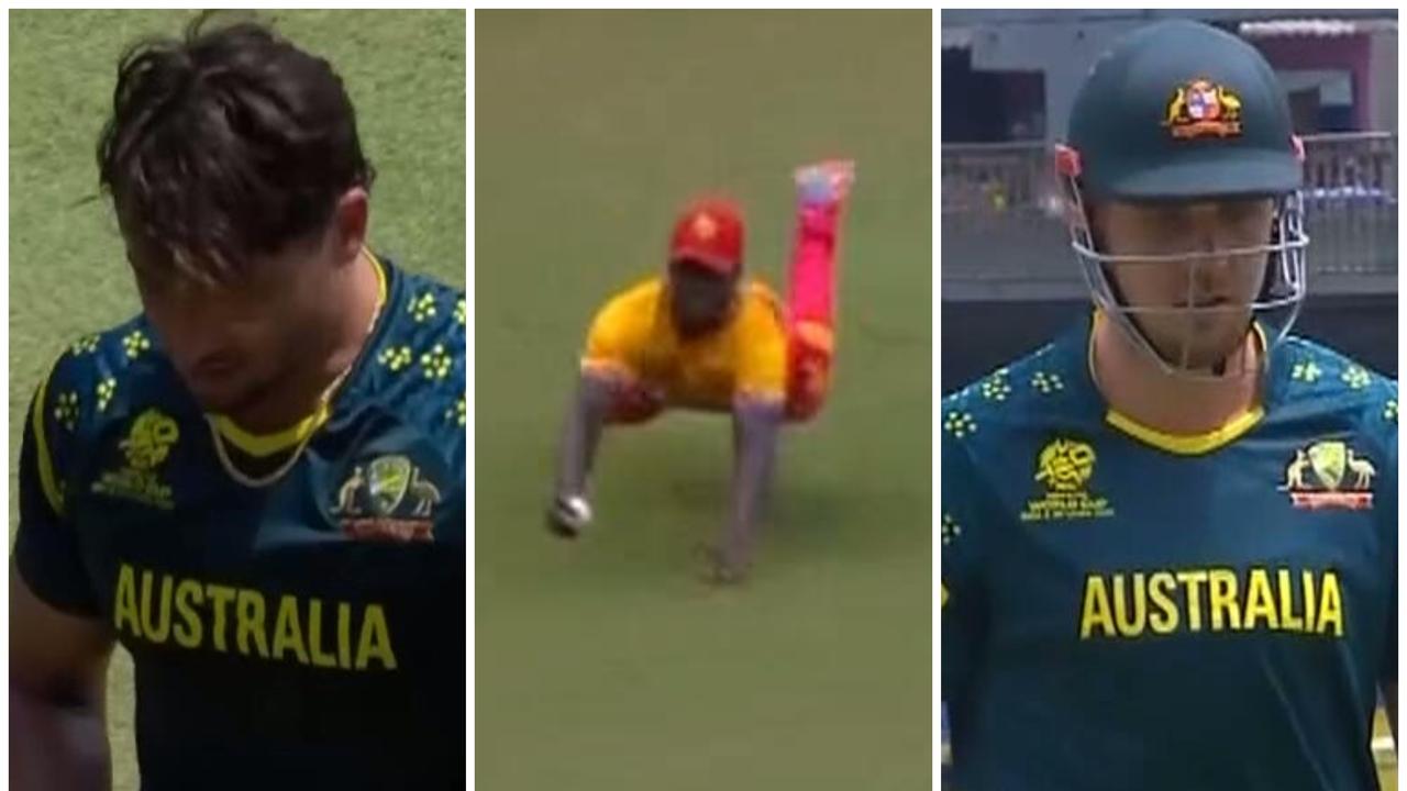 Australia vs Zimbabwe match wrap, loss to Zimbabwe, Marcus Stoinis injury, team selections, news, videos