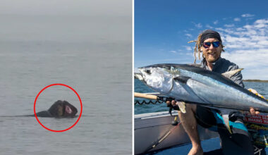 Fisherman's 'extremely rare' sighting off Aussie coast sparks excitement: 'Never seen one'