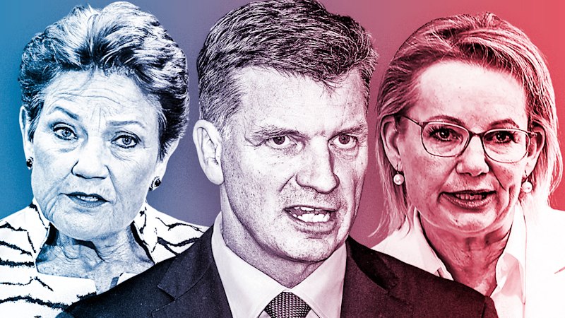 Pauline Hanson’s One Nation surges in new polling, as Angus Taylor gains ground for Coalition