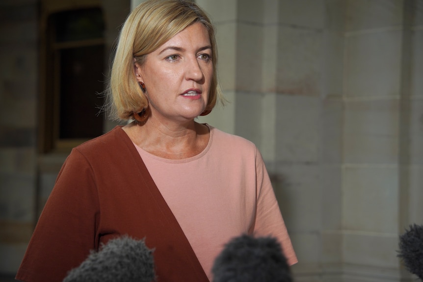 A woman with shoulder-length blonde hair speaks at a press conference outside Queensland's parliament.