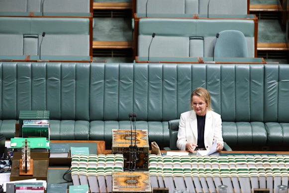 Opposition leader Sussan Ley in the House of Representatives chamber on Tuesday.