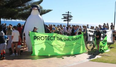 Penguin residents protest Dial Range forest logging plans