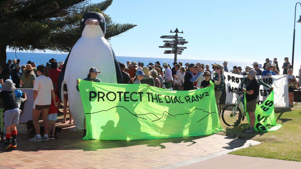 Penguin residents protest Dial Range forest logging plans