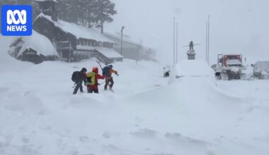 Eight back-country skiers found dead, one missing after avalanche in California