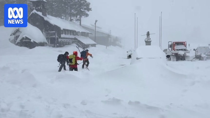 Eight back-country skiers found dead, one missing after avalanche in California