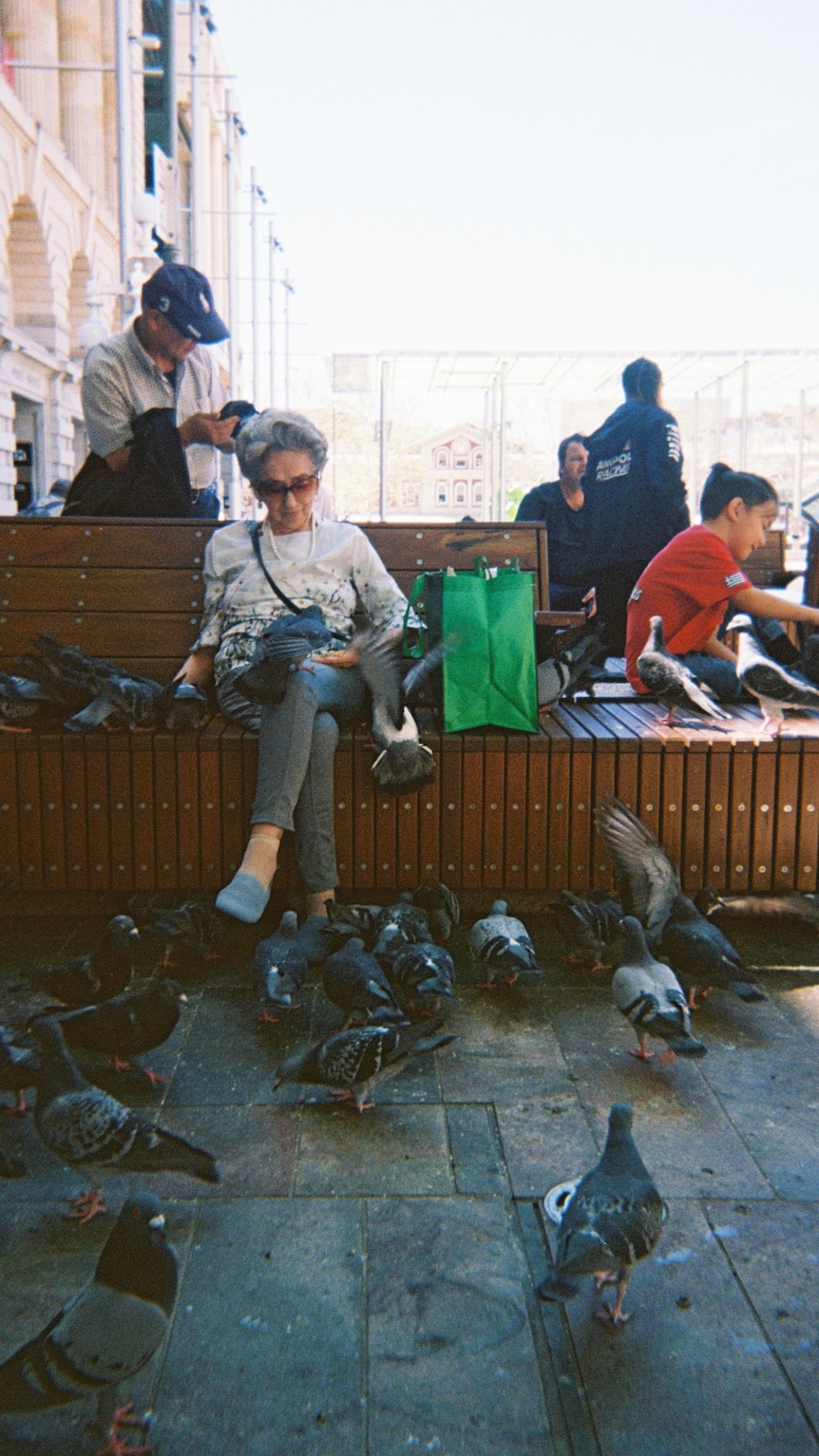 A woman sits on a wooden bench surrounded by pigeons, with one perched on her knee.
