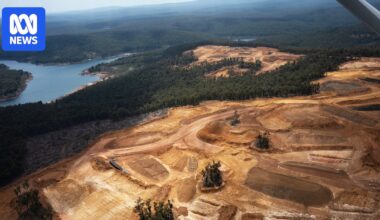 Alcoa hit with record fine for illegally clearing WA jarrah forests for bauxite mine
