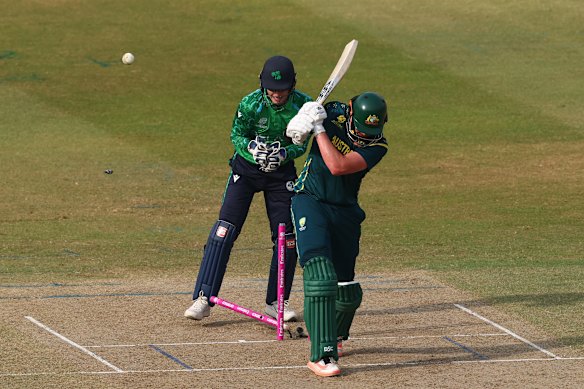 Matt Renshaw is bowled.