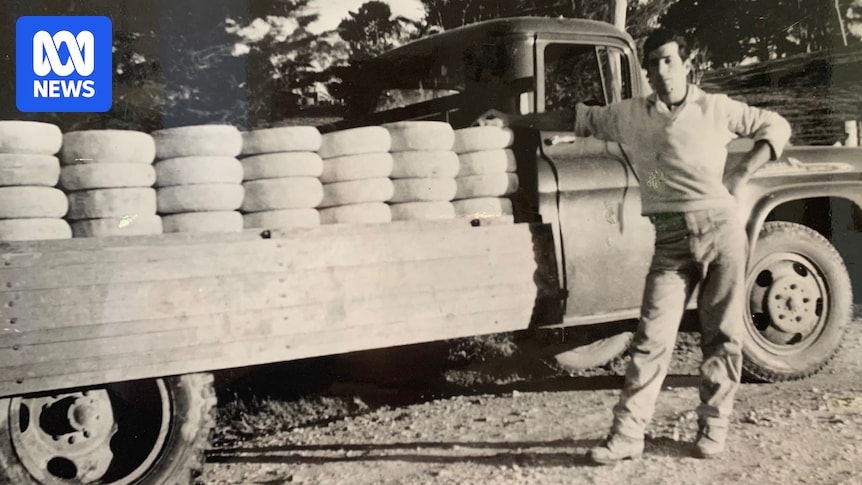 Italian migrants who brought 'fancy cheese' to Australia