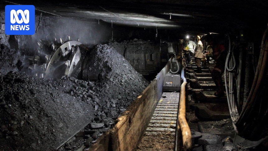 Union urges Sanjeev Gupta to sell Tahmoor mine as $350m offer revealed