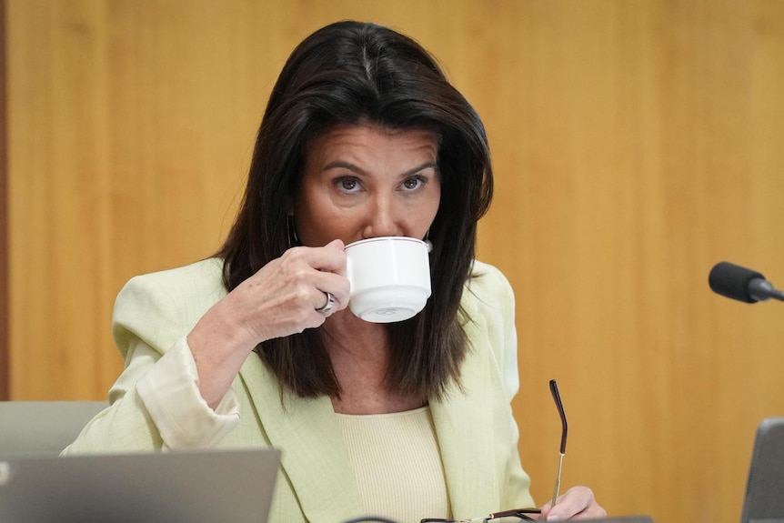 Angus Taylor, Jane Hume, James Patterson, Sussan Ley.