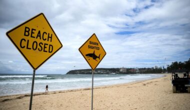 Australia records most shark attack fatalities globally in 2025